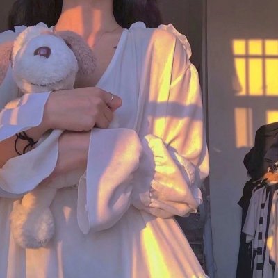 王之逆袭：意志的继承者