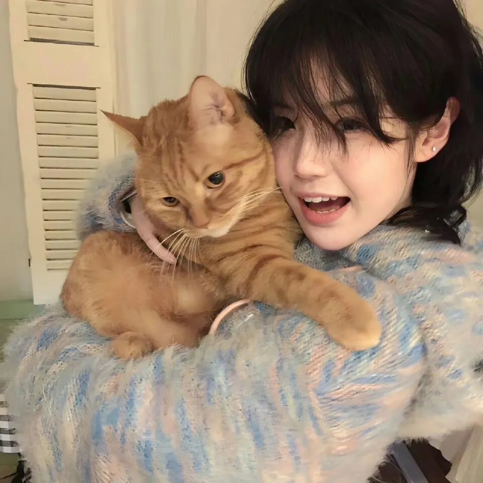 亲爱的皇帝陛下